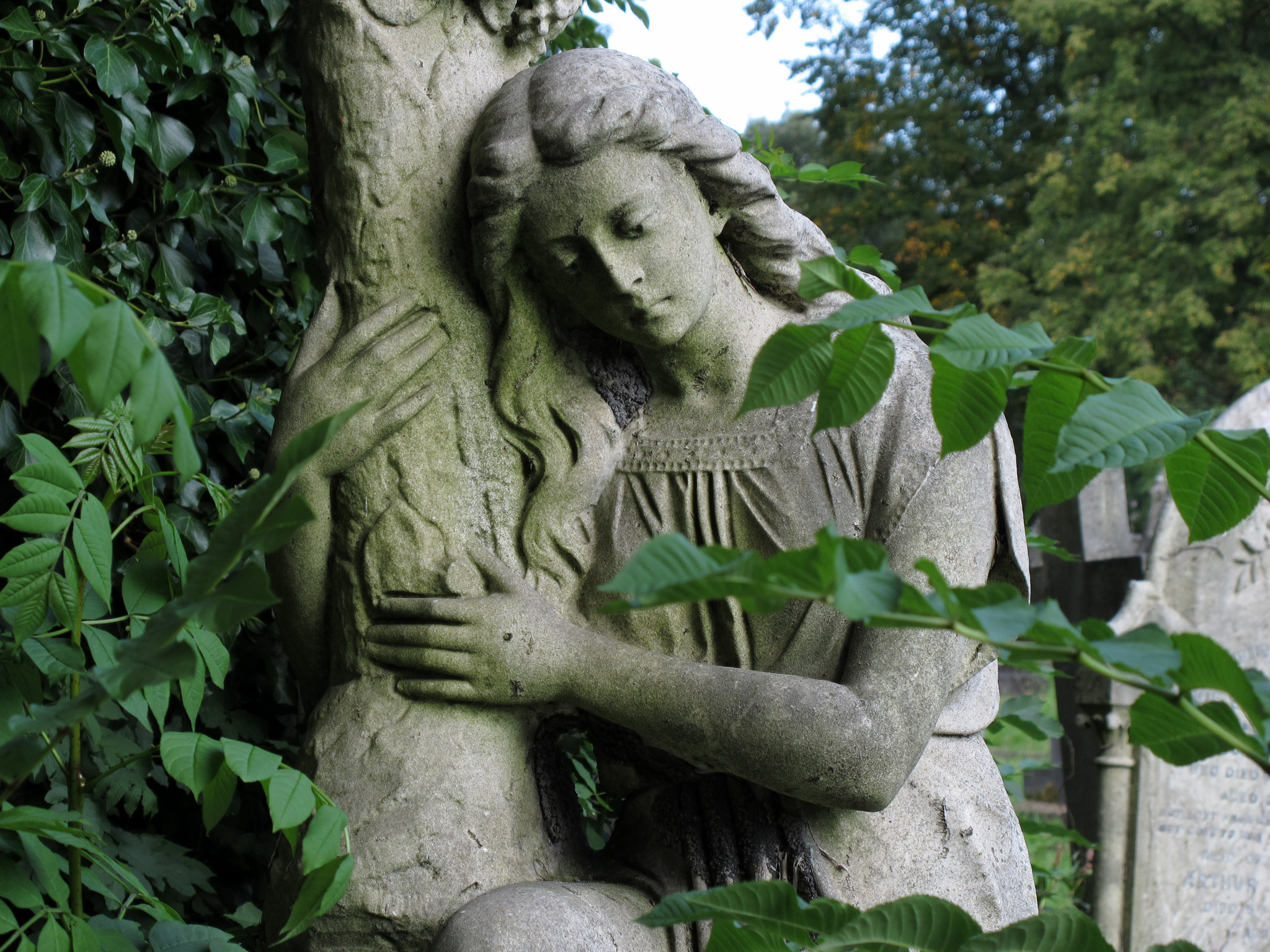 Treehugger