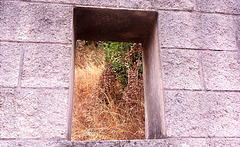 Close the window, please!