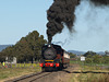 ToowoombaFestivalofRail0417 4290926