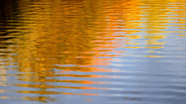 Onde d'automne