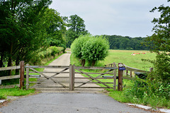 Gate