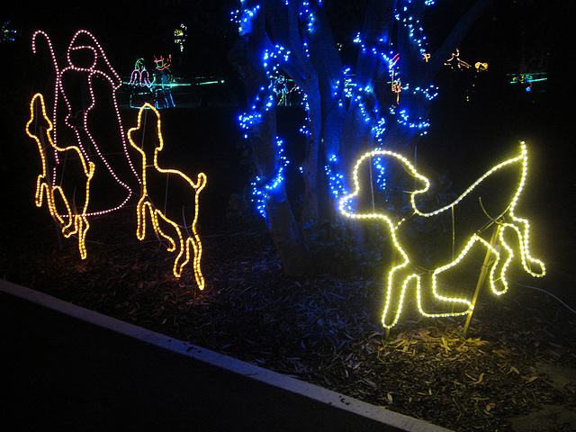 Christmas Lights Tmba Lions 2019 5986 Christmas Lights Tmba Lions 2019 5986