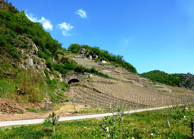 DE - Altenahr - Auf dem Rückweg von Mayschoß