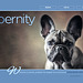 ipernity homepage with #1519