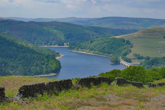 A 'Happy wall Wednesday' to all - from > Dj.