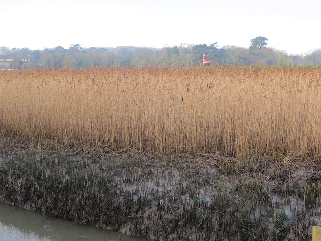 cley marshes, norfolk