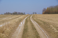 Ein Weg nach Düna