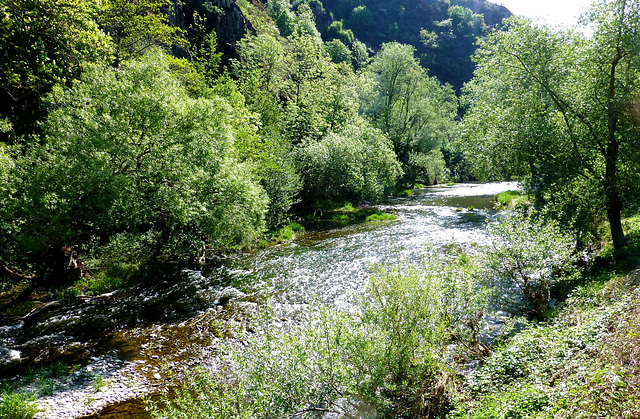 DE - Mayschoß - Blick auf die Ahr