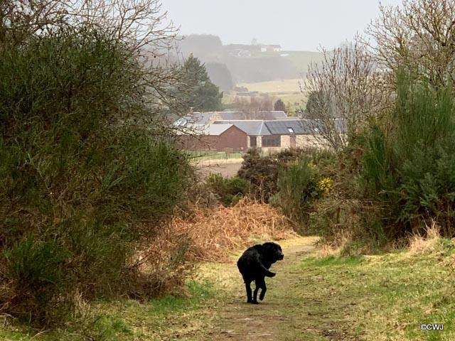 Reaching home as the rain started