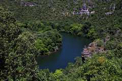 Du haut de cette falaise je voulais plonger dans l'Hérault , mais Monique n'a pas voulu , prétextant qu'avec cette chaleur je risquais une hydrocution . Je n'ai pas insisté . .