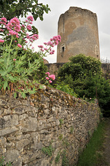 Le donjon de Châtillon-sur-Indre