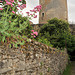 Le donjon de Châtillon-sur-Indre