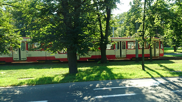 Danziger Straßenbahn