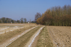 Ein Weg nach Düna II