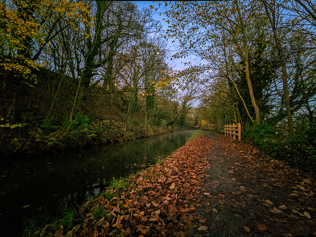 Sunrise on the Peak forest canal