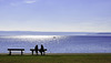 HBM ...  with a bench at Lake Constance (© Buelipix)