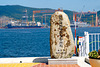 Okpo waterfront