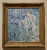 Fleur de Lis by Robert Reid in the Metropolitan Museum of Art, February 2020
