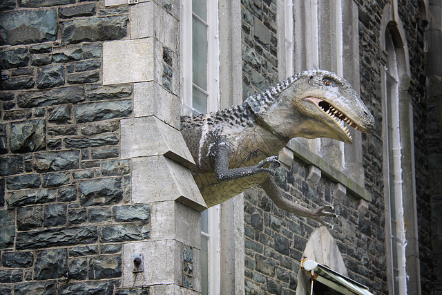 T-Rex Barmouth