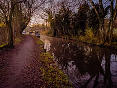 Sunrise on the Peak forest canal