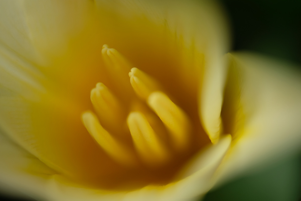 DSCF7335