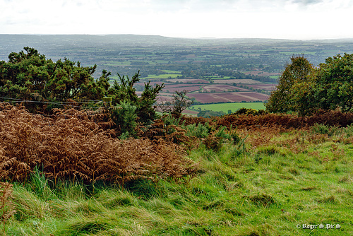 Misty Vale View,