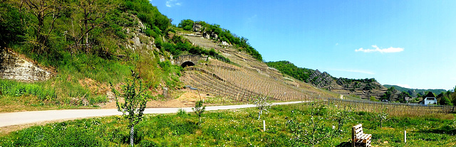 DE - Mayschoß - Auf dem Weg nach Altenahr