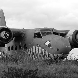 Another Resting Place (4M) - 6 September 2016