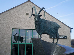 Sculpture of Kashmir goat.