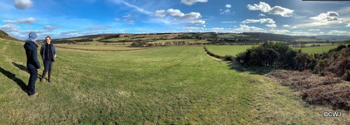 Dallas Estate vista