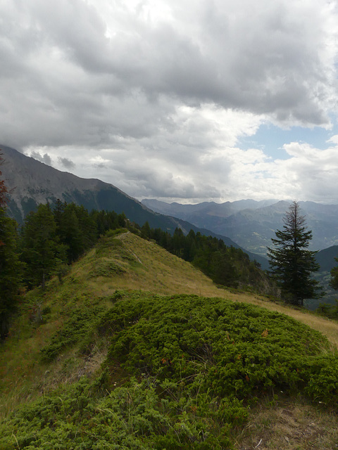 20220828 -11 Ubaye (Alpes de Haute Provence) (594)