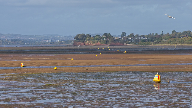 Yellow Buoys