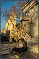 Auf dem Marktplatz in Aigues-Mortes