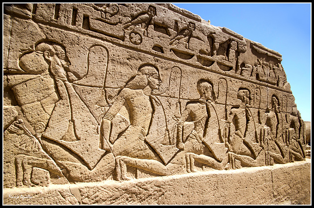 Fila de cautivos   -   HWW