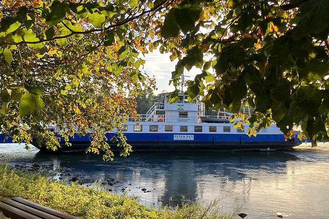 Ferry to Neverland