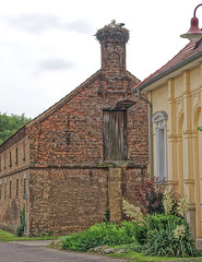 Storchenhorst in Tremsdorf Storchenhorst in Tremsdorf