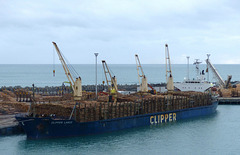 Clipper Lasco at Napier (1) - 26 February 2015