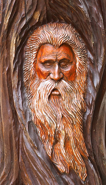 Wood carvings in Hope, BC