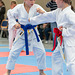 kj-karate-394 15176209044 o