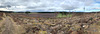 Altyre estate vista