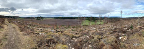 Altyre estate vista