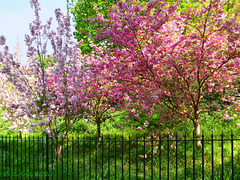 Happy Frühling Fence Friday!