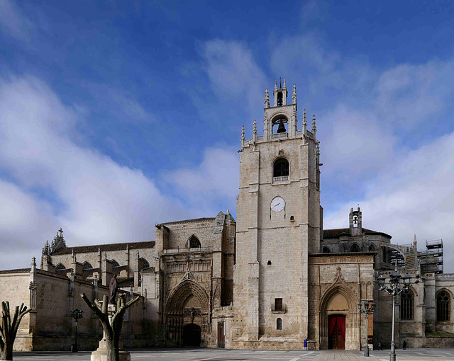 Palencia - Catedral de San Antolín