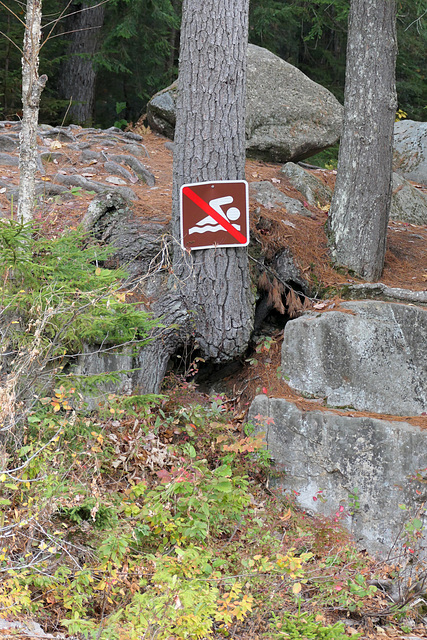 No swimming in the forest