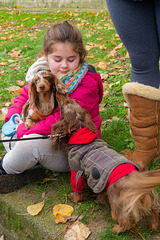 La petite fille aux petits chiens