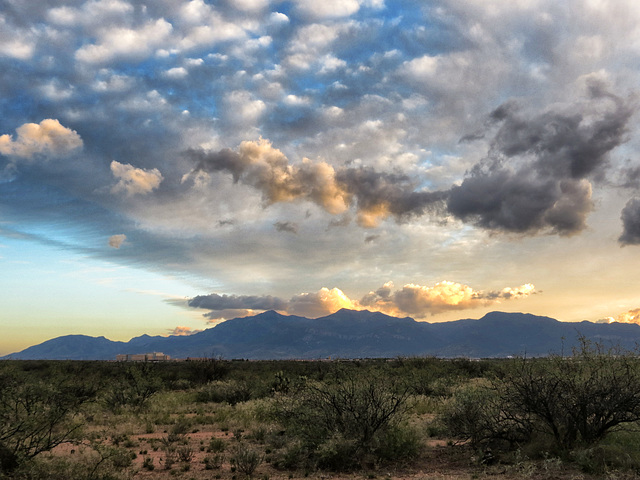 The Huachuca Mountains