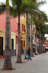 Puerto de la Cruz