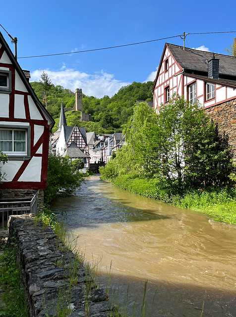 DE - Monreal - Blick zur Philippsburg