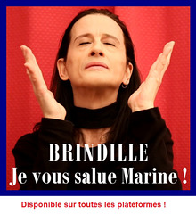 Je vous salue Marine ! - Brindille