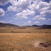 African savanna with termite mound